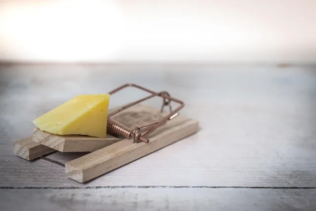 mouse trap, cheese, device, trap, mouse, danger, bait, catch, control, risk, dangerous, mousetrap, food, extermination, exterminate, incentive, rat, pest. Distinguere affiliazione e semplice segnalazione